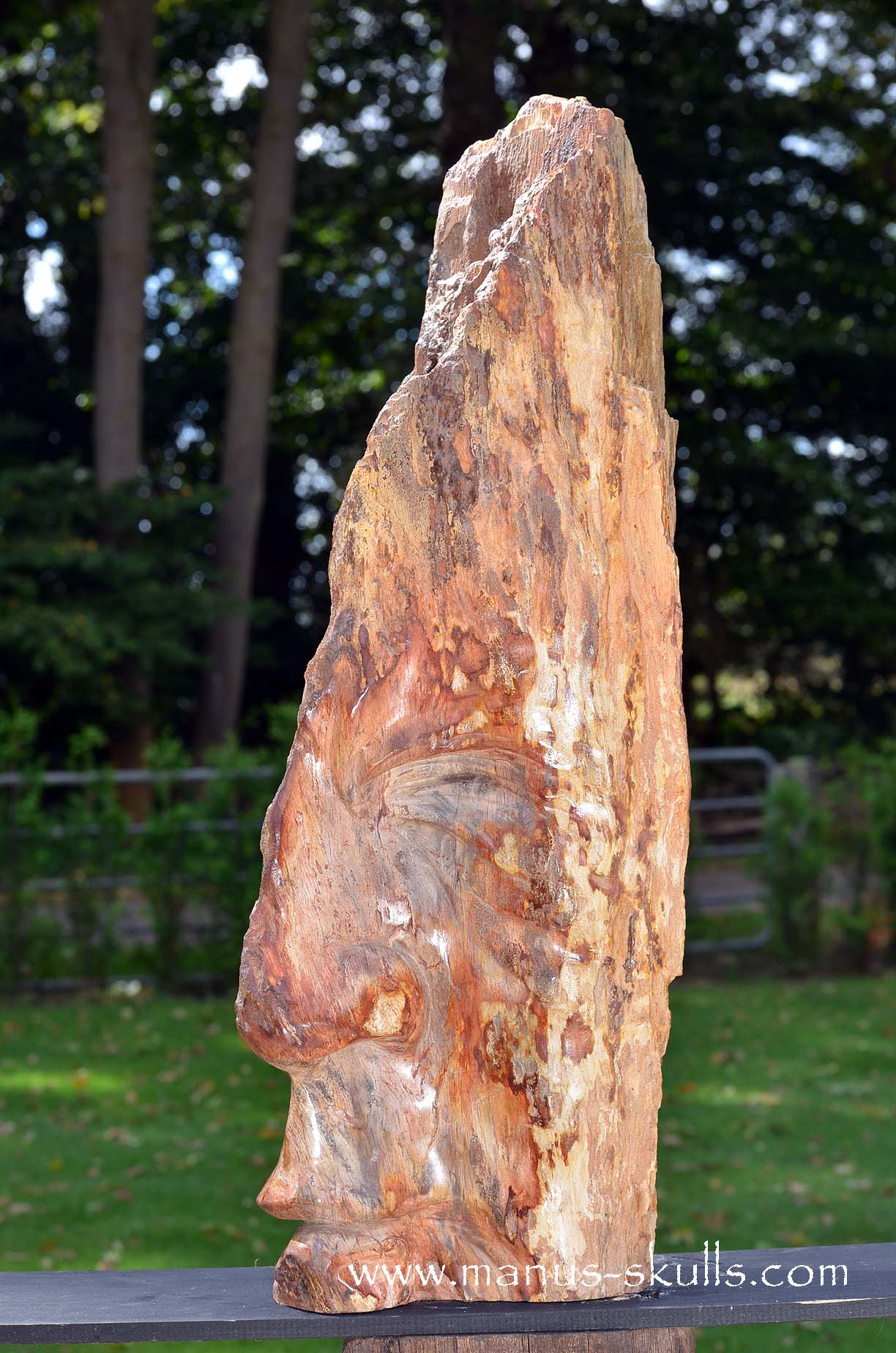 Petrified Wood Tribal Skull #67