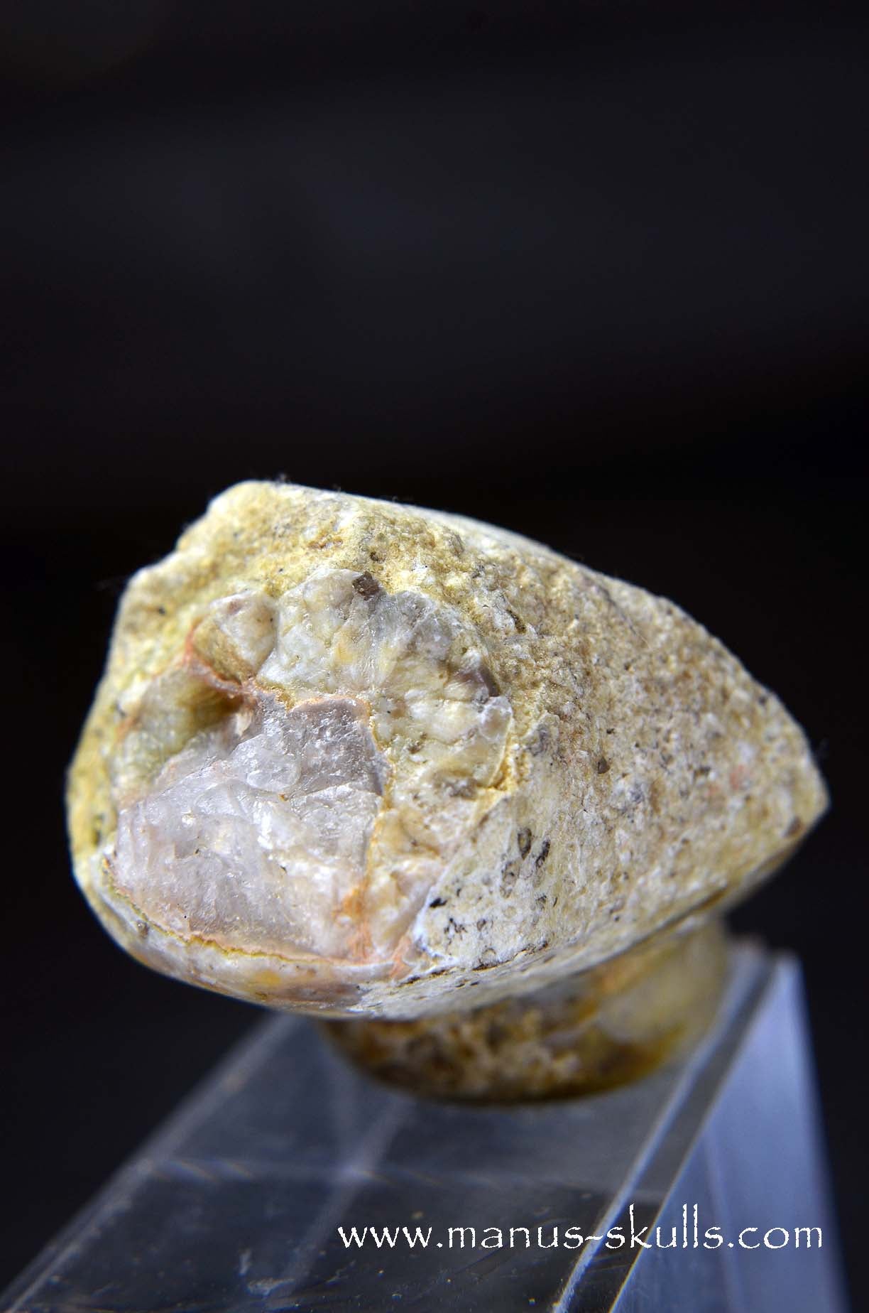 TNT-bed Thunderegg Evolian #08