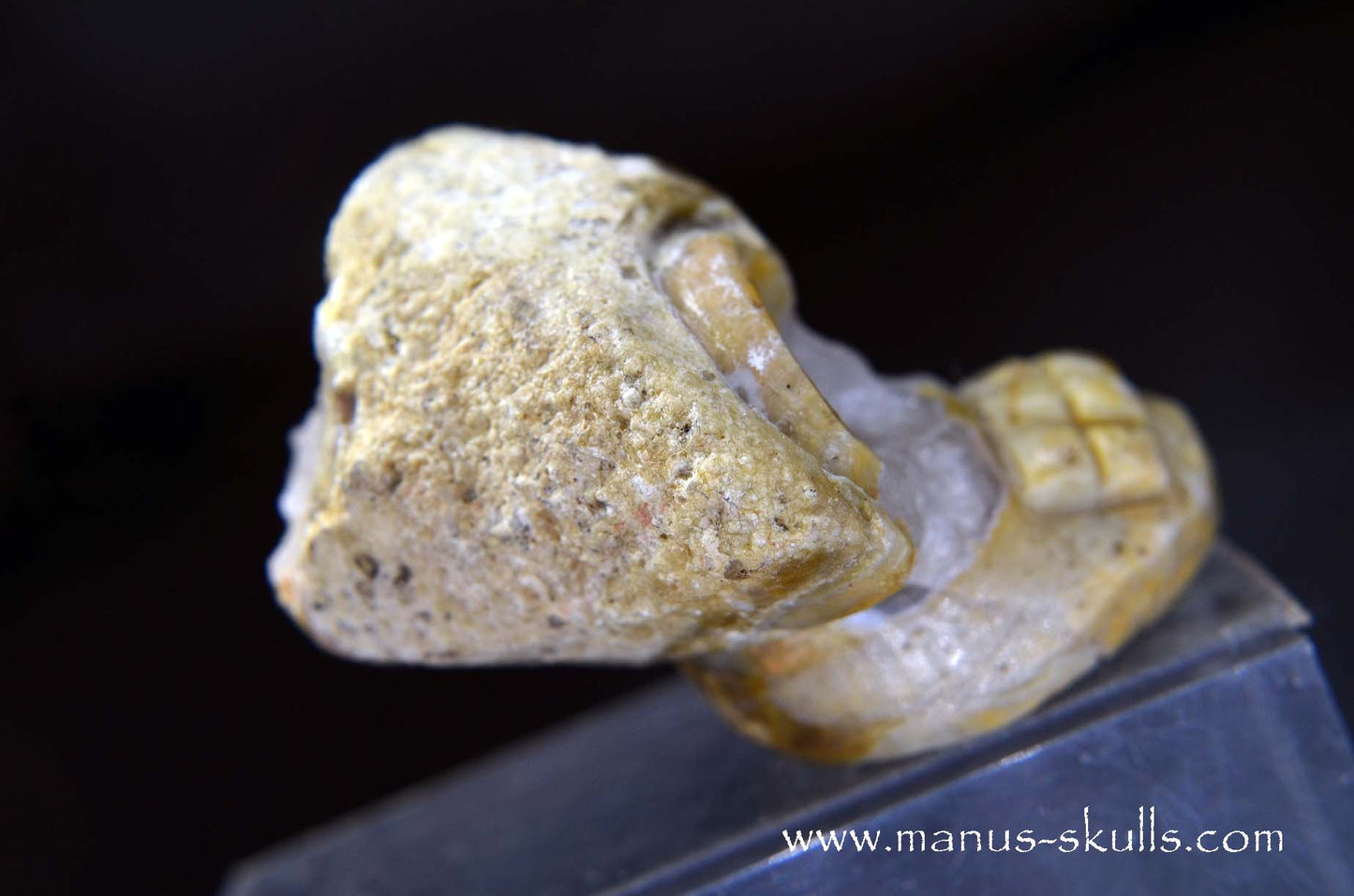 TNT-bed Thunderegg Evolian #08