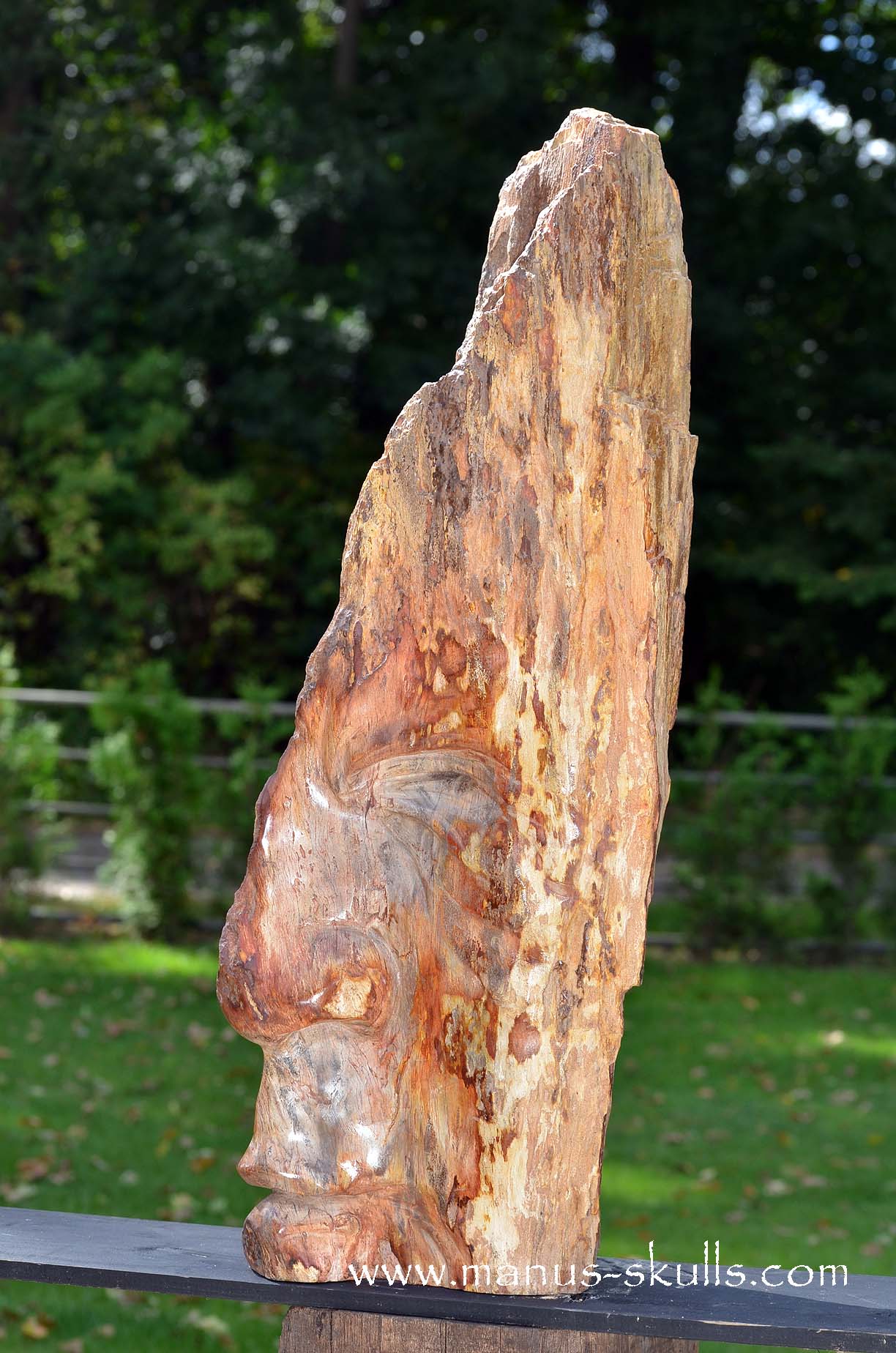 Petrified Wood Tribal Skull #67
