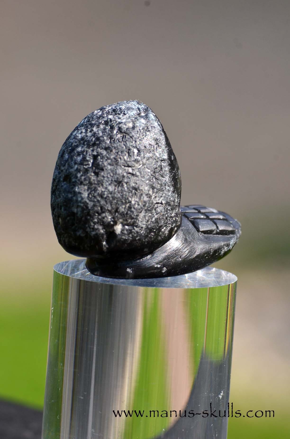 Agni Manitite Evolian #09