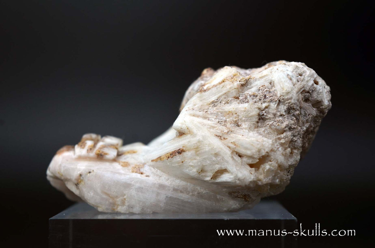Scolecite Evolian Skull #08