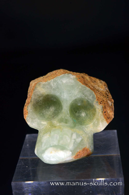 Manus skulls unique Crystal Carvings handmade skulls dragons pendants preseli bluestone tribals spiritual meaning wand Unicorn .. prehnite Evolian 2025