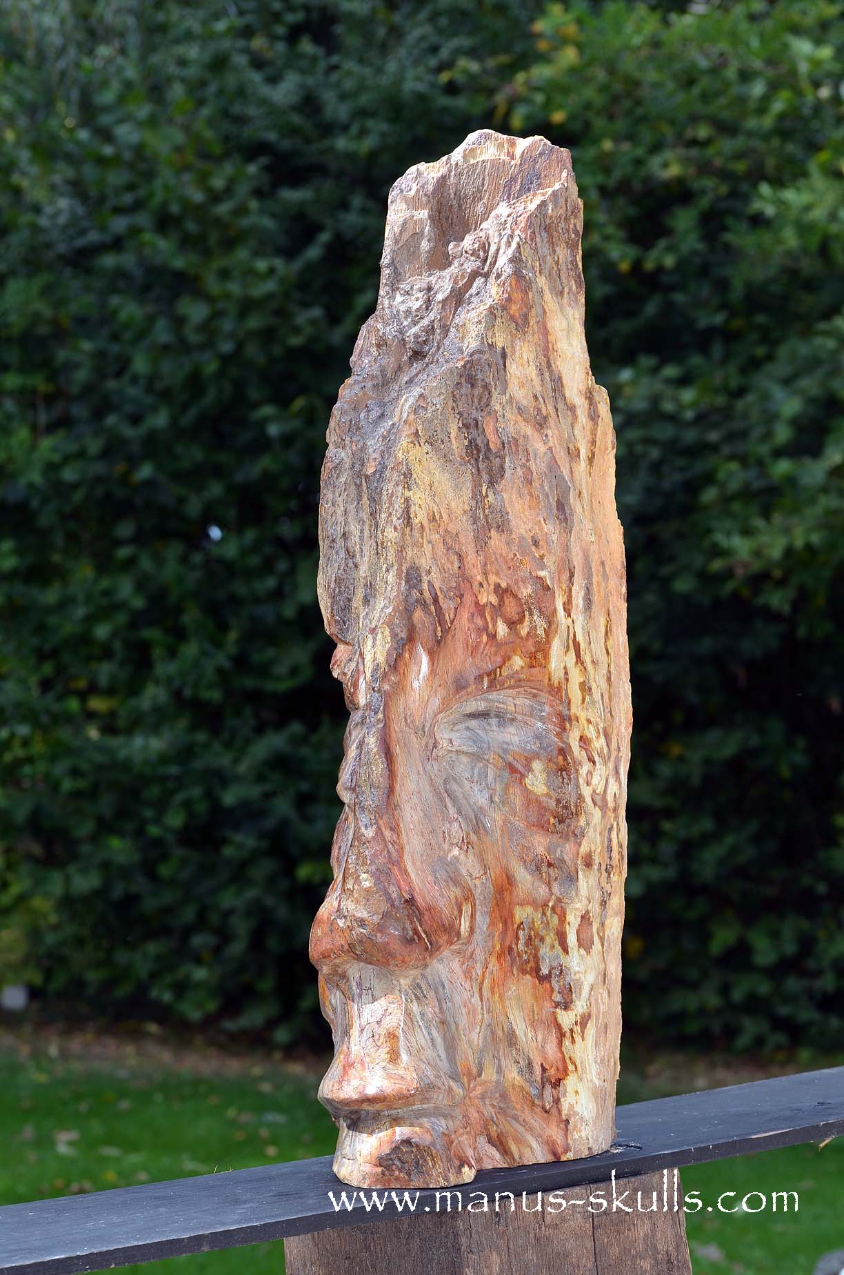 Petrified Wood Tribal Skull #67