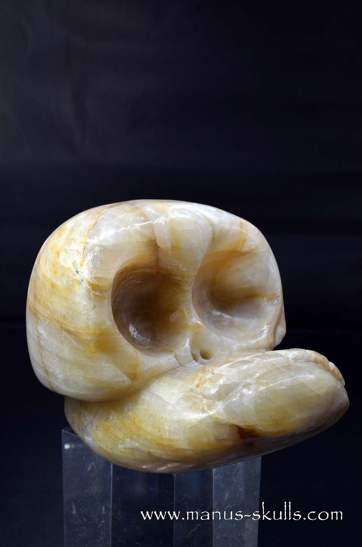 Manus skulls unique Crystal Carvings handmade skulls dragons pendants preseli bluestone tribals spiritual meaning wand Unicorn .. white calcite Evolian 2025