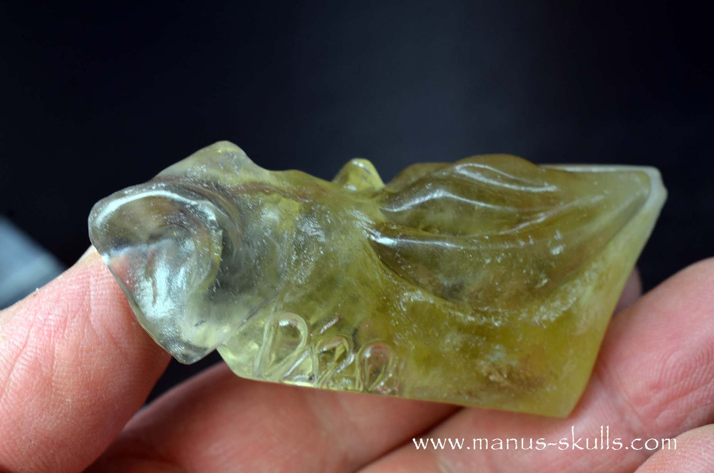 Citrine Dragon