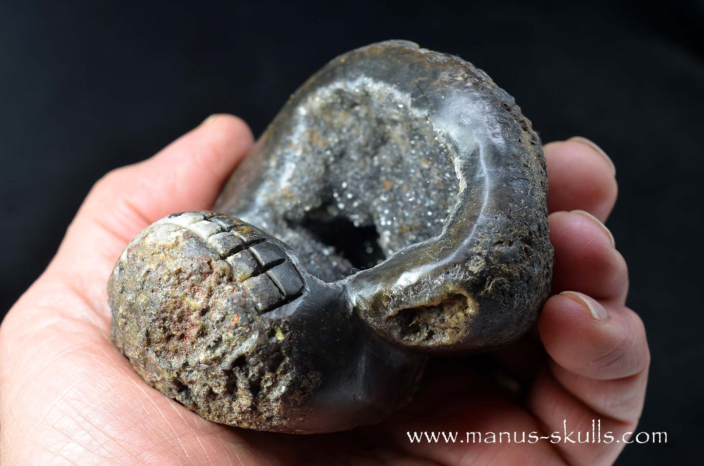 Agate Geode Evolian #09