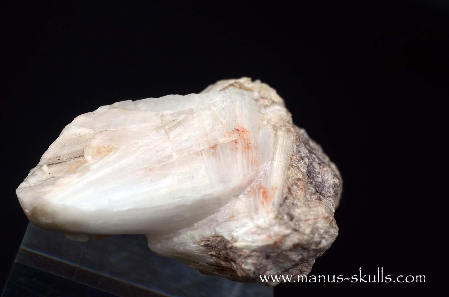 Scolecite Evolian Skull #08
