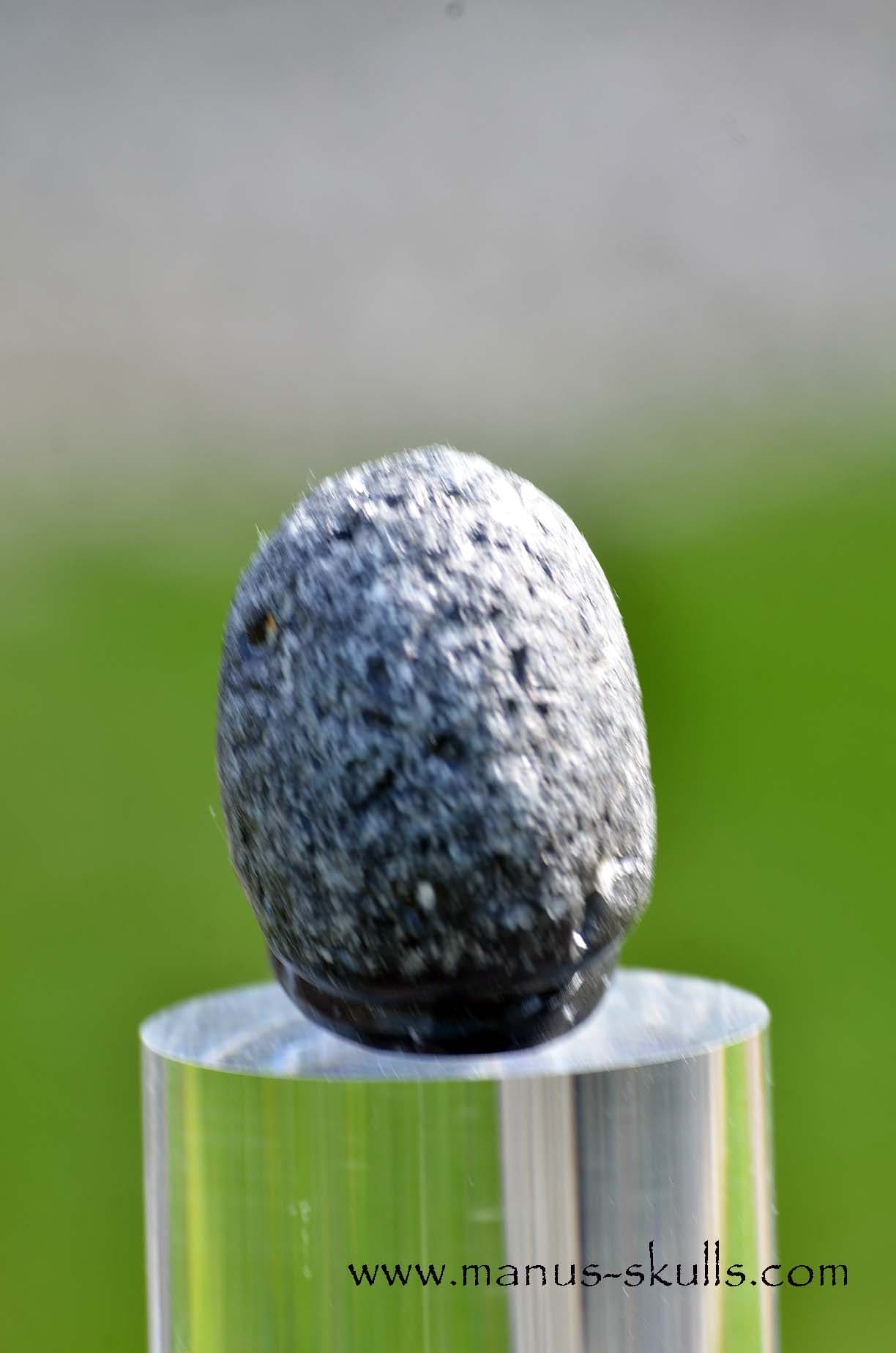 Agni Manitite Evolian #09