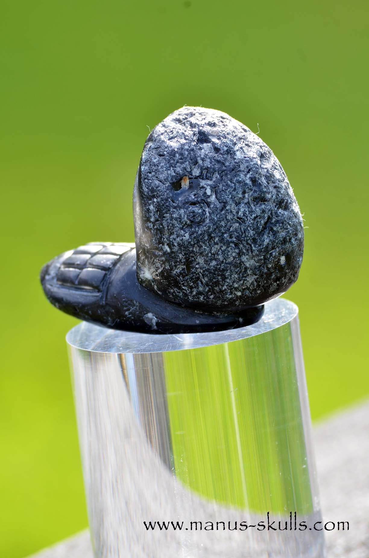Agni Manitite Evolian #09