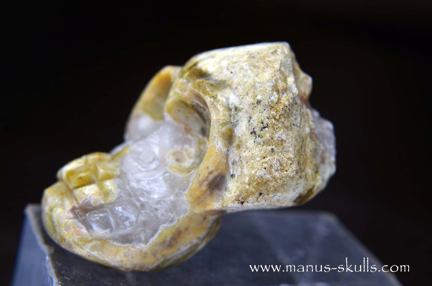 TNT-bed Thunderegg Evolian #08
