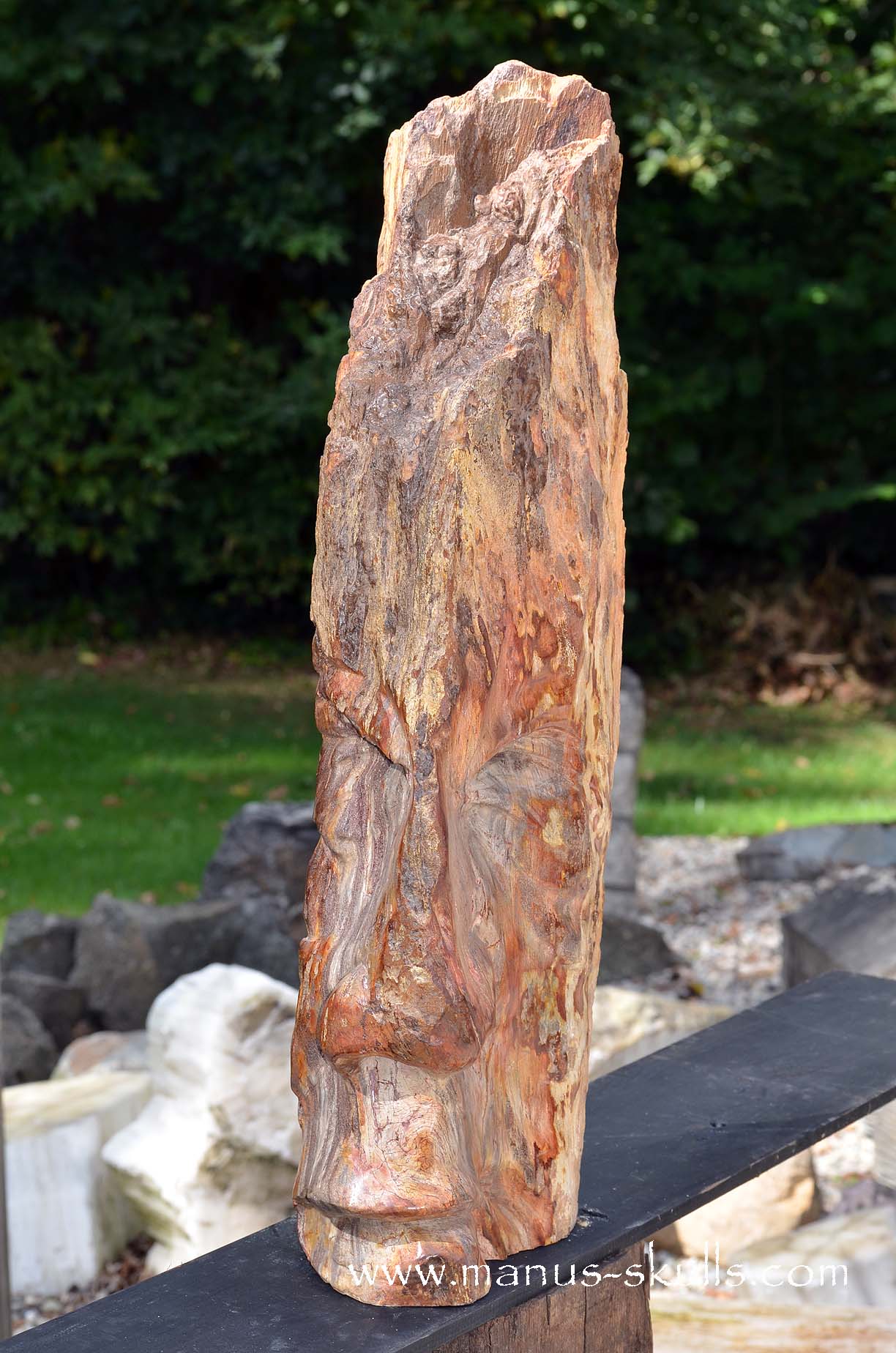 Petrified Wood Tribal Skull #67