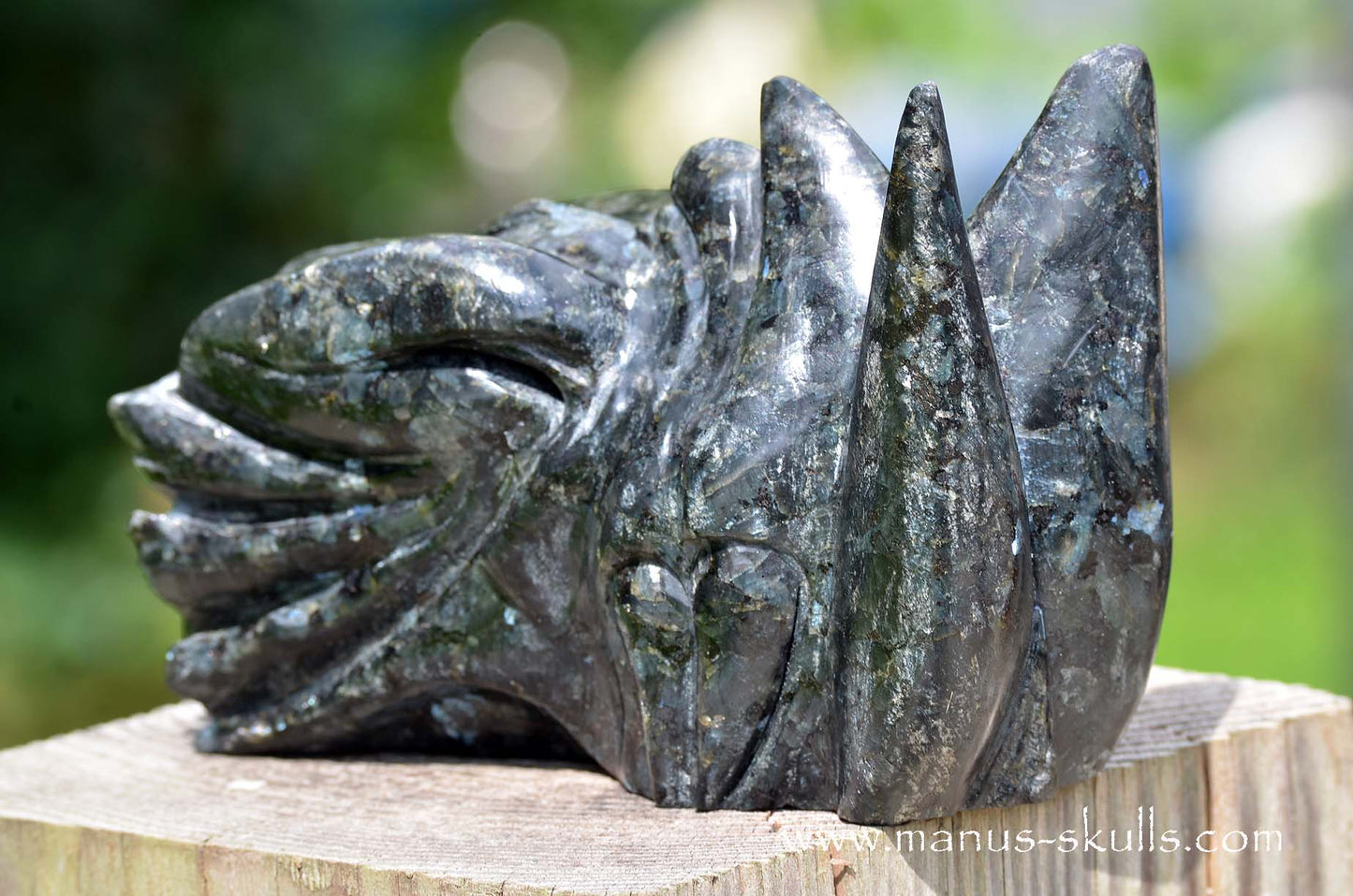 Large Larvikite Dragon