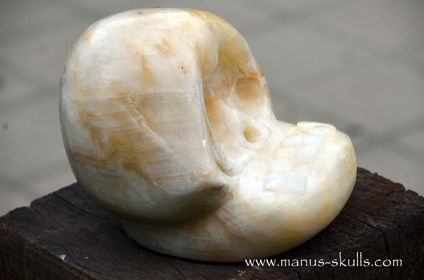 White Calcite Evolian Skull #01
