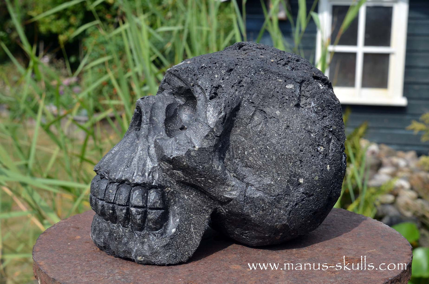 Large and Heavy Lava Skull