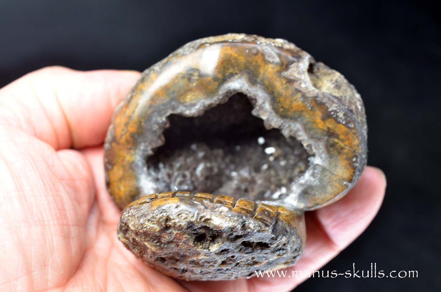 Agate Geode Evolian #01