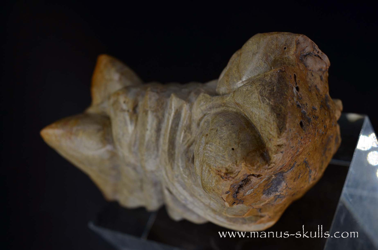 Sarsens Stone Dragon (Stonehenge Stone)