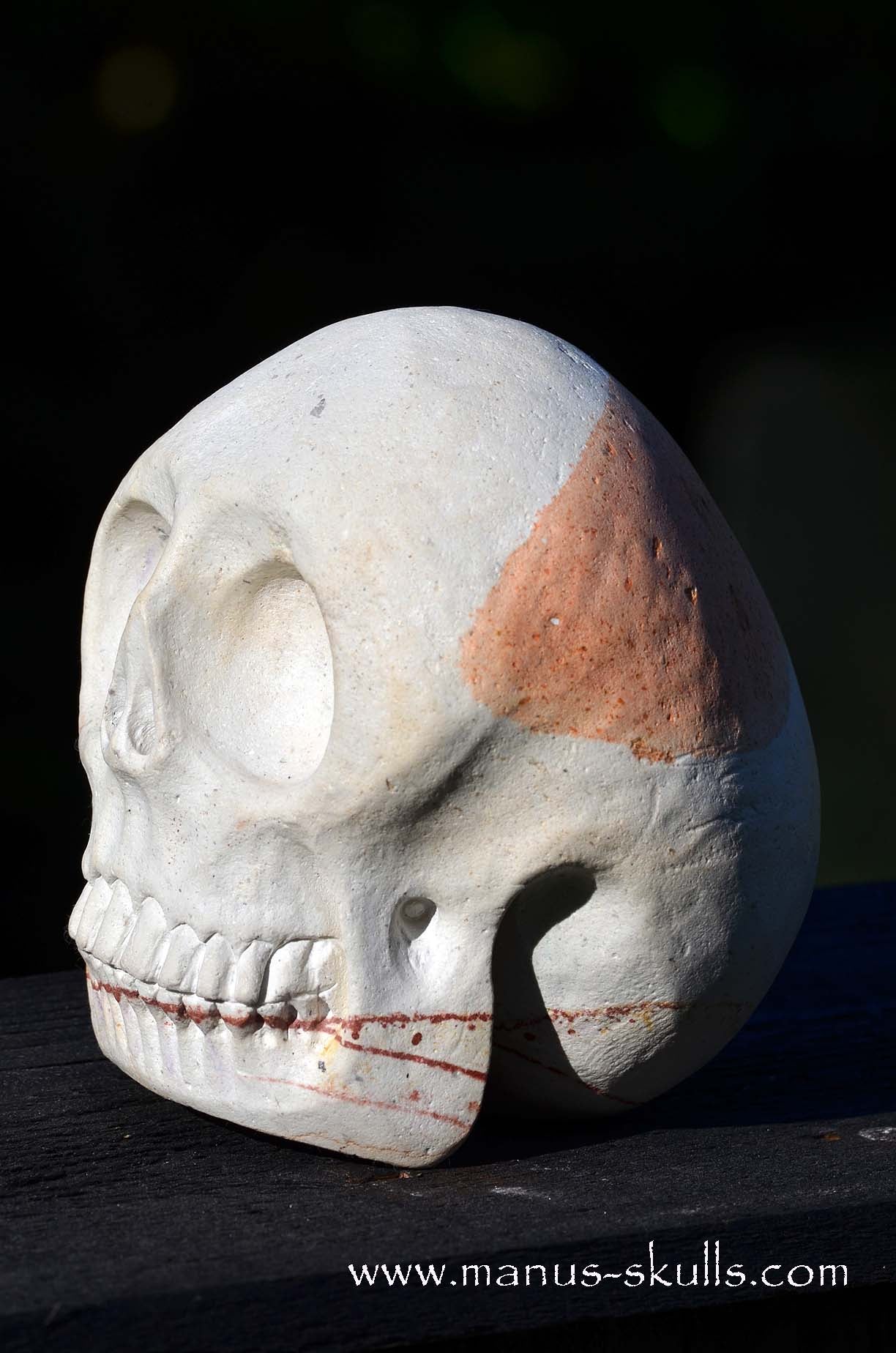 Arizona Sandstone skull