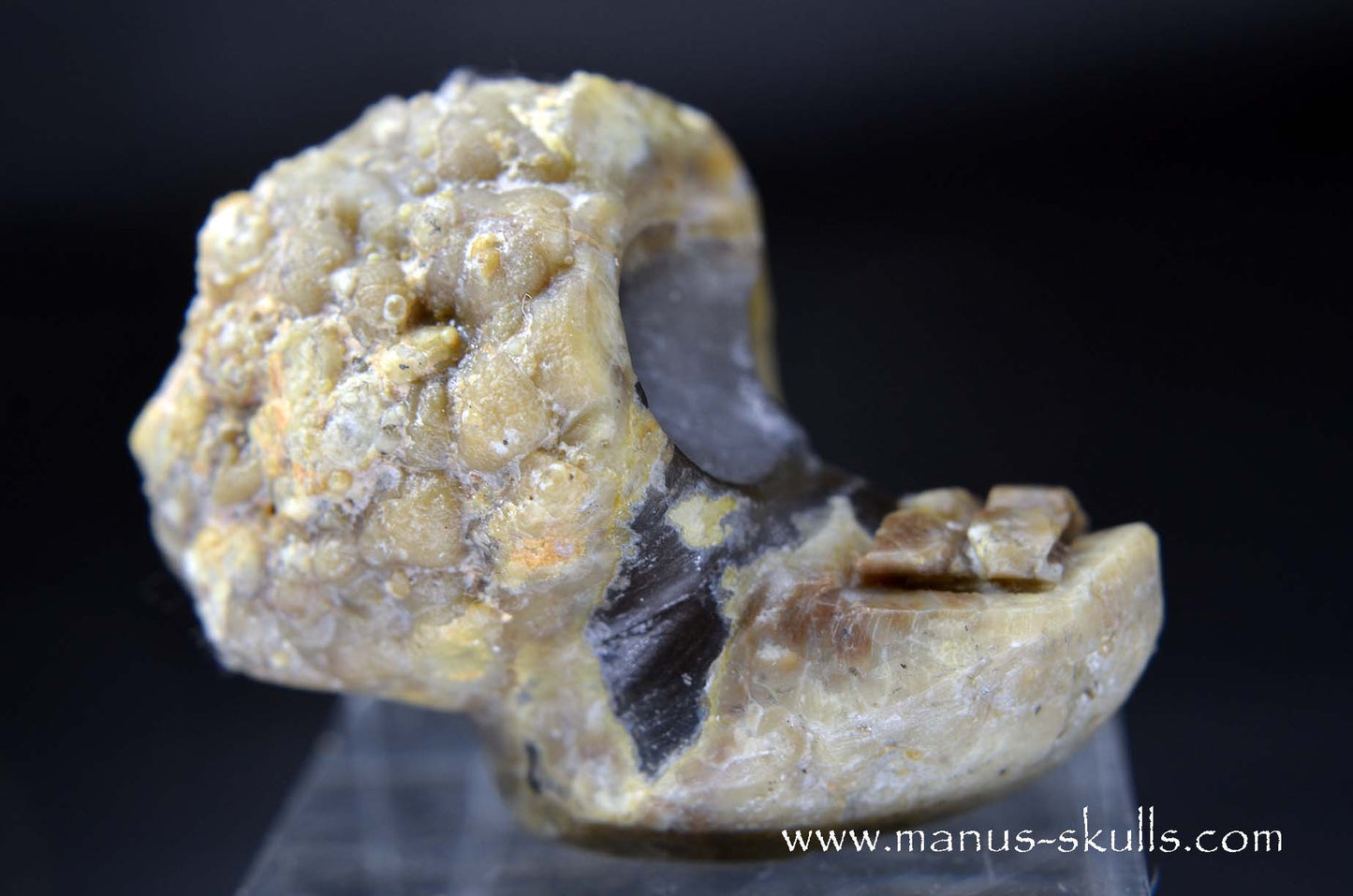 TNT-bed Thunderegg Evolian #01