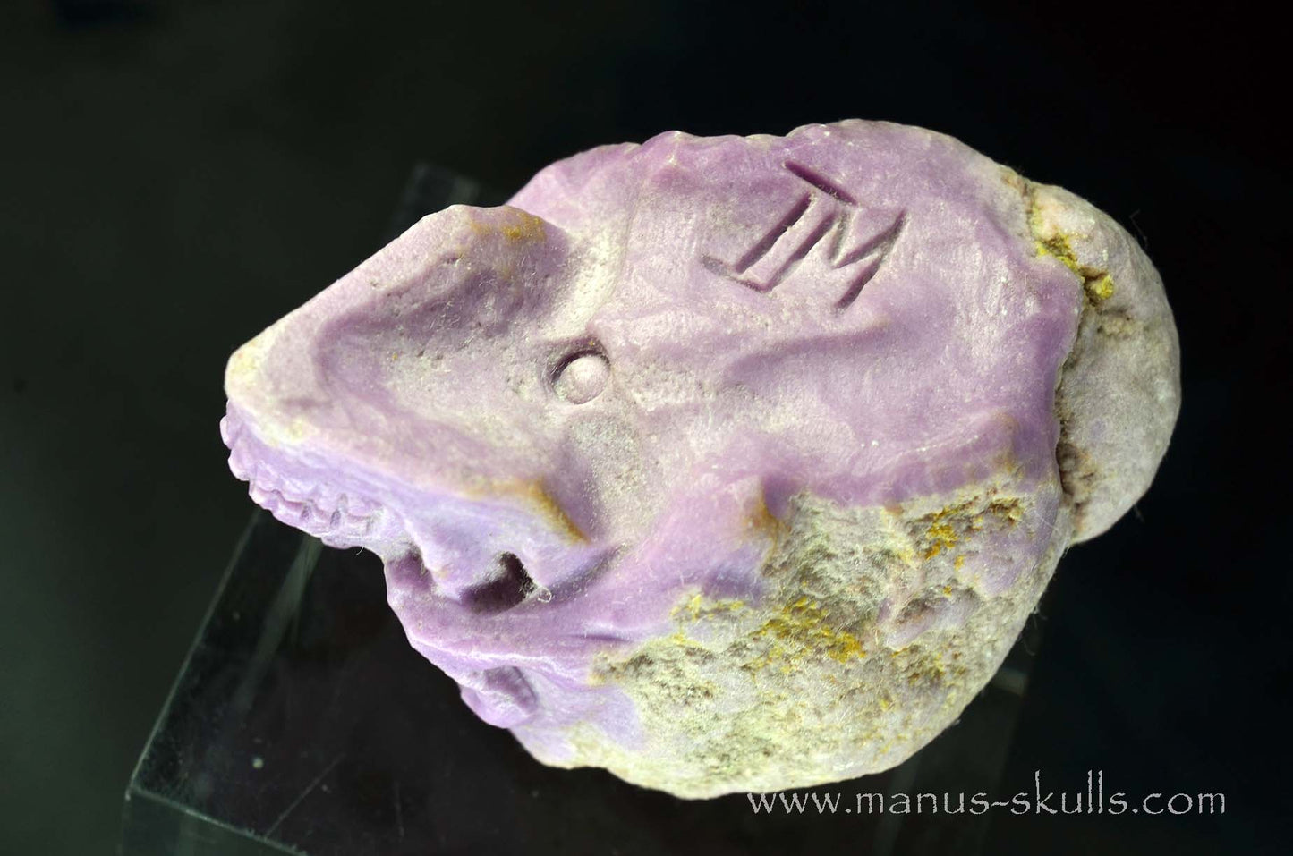 Phosphosiderite with Cacoxenite Skull