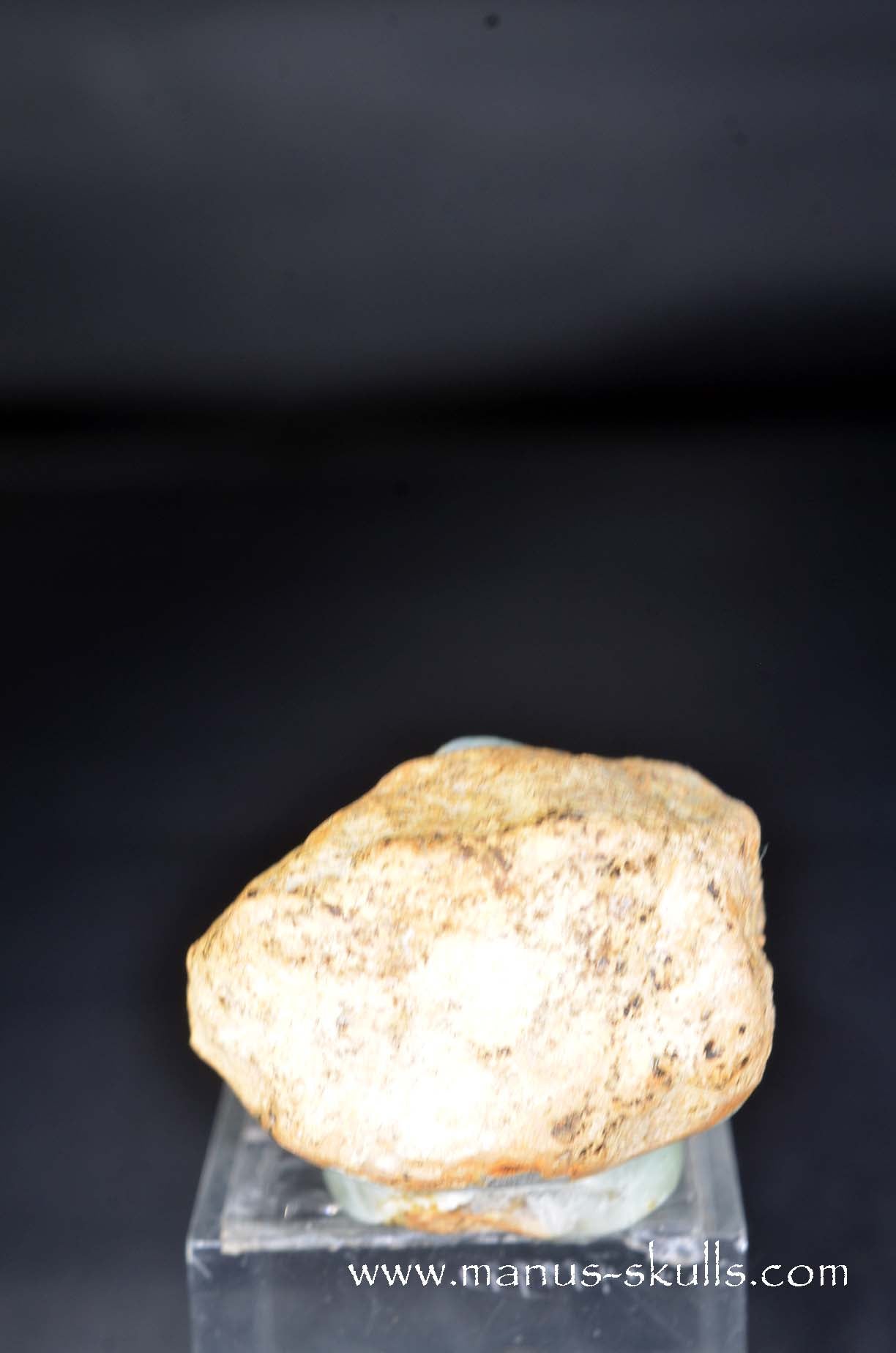 Prehnite Evolian #08