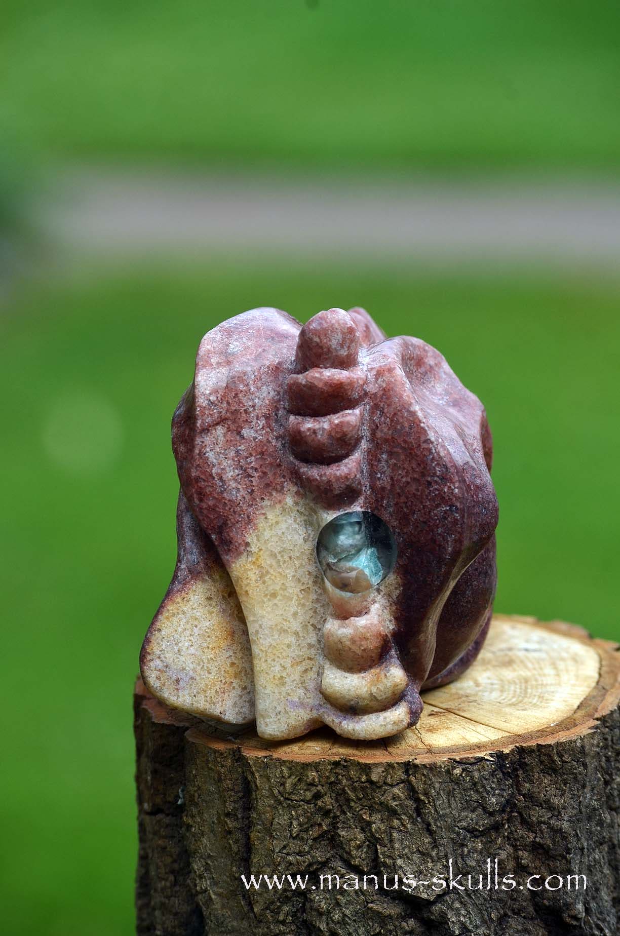 Unique Jasper Dragon with Orgonite tube ...