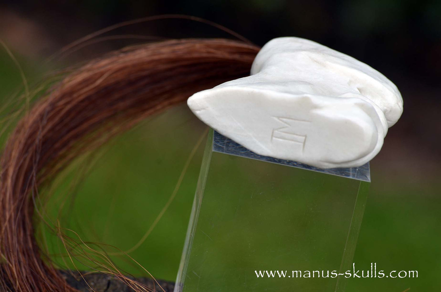 White Steatite Tribal Skull  #046