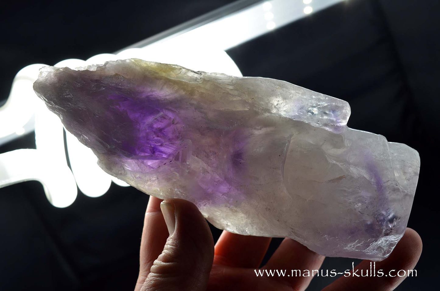 Phantom Amethyst Tribal Skull face