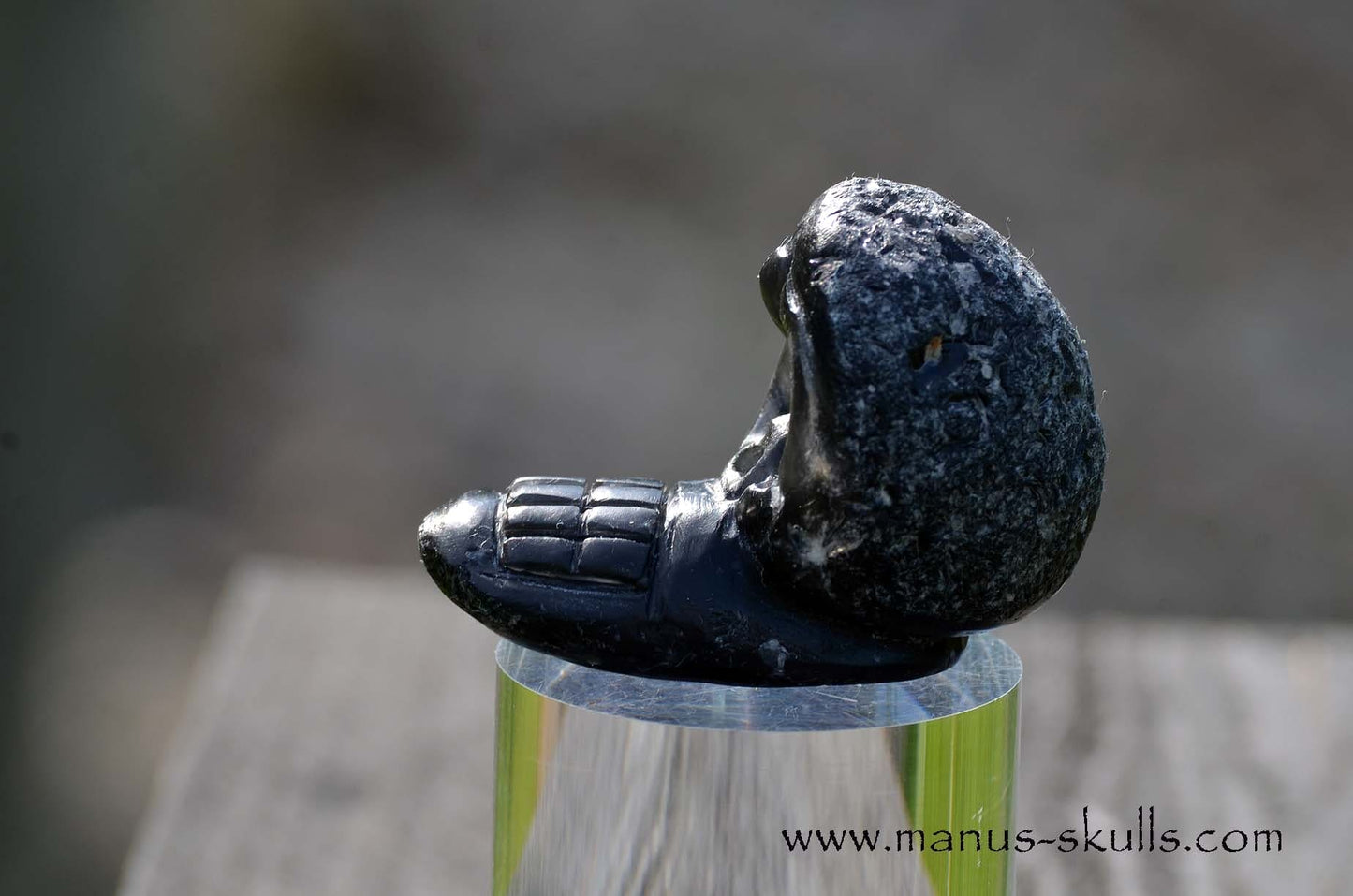 Agni Manitite Evolian #09