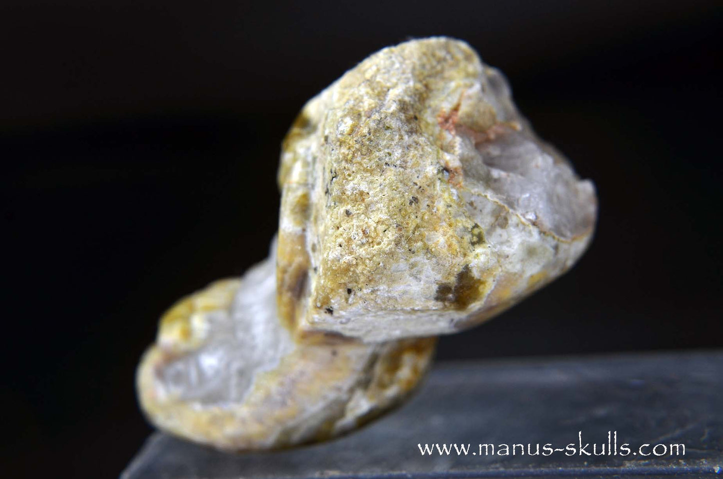 TNT-bed Thunderegg Evolian #08