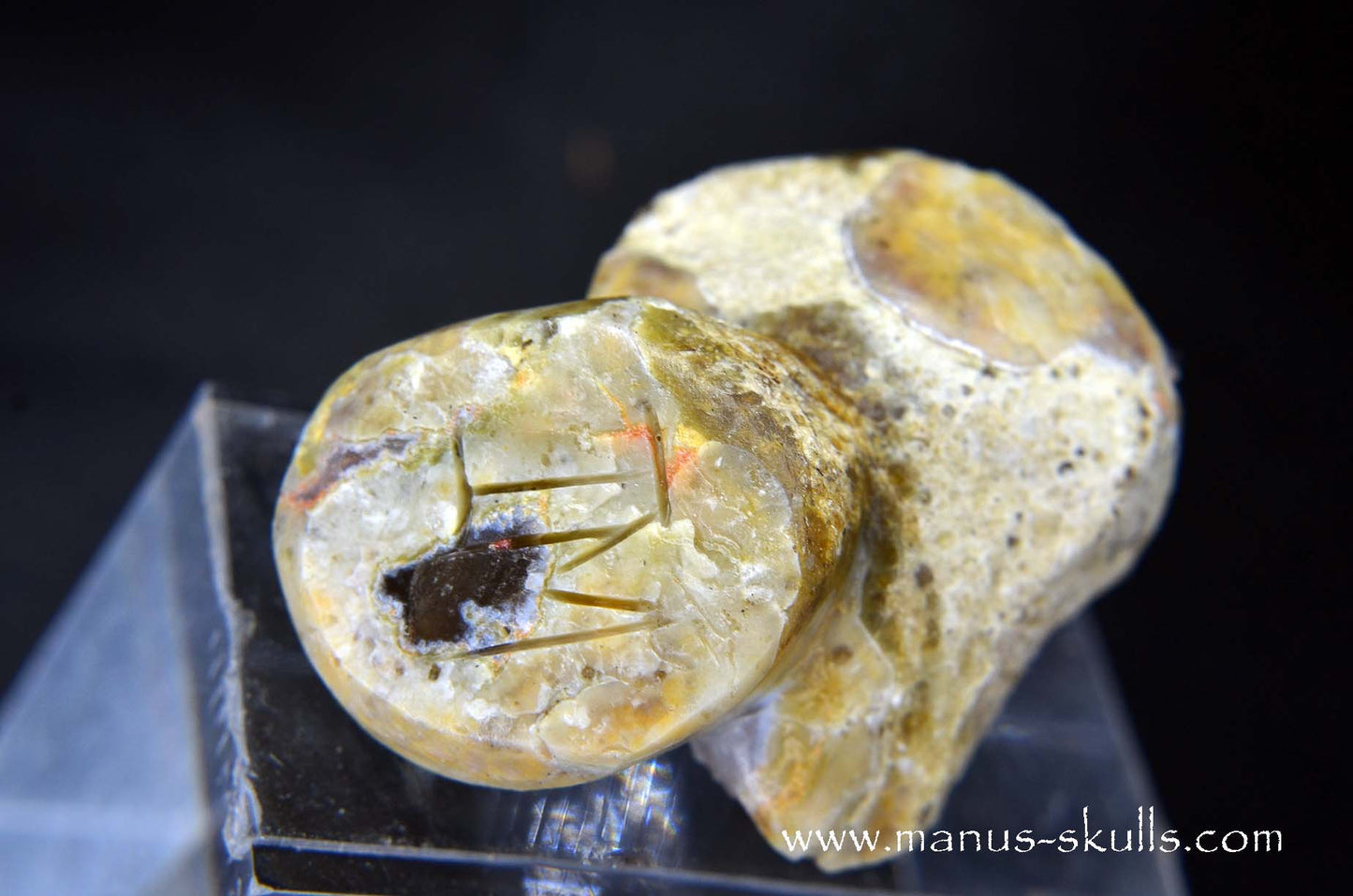 TNT-bed Thunderegg Evolian #08