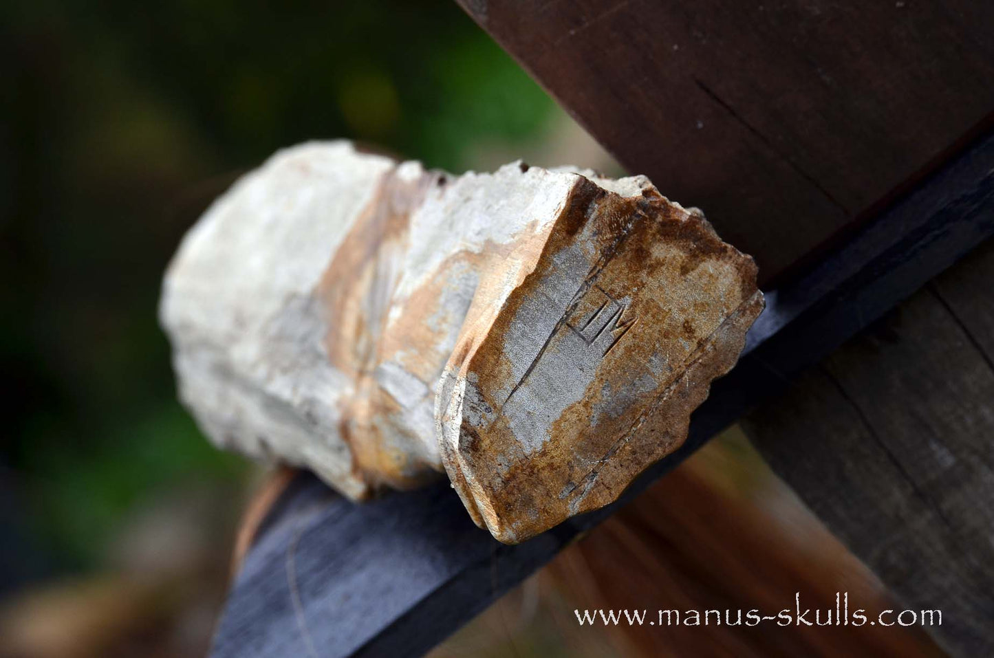 Petrified Wood Tribal Statue #008