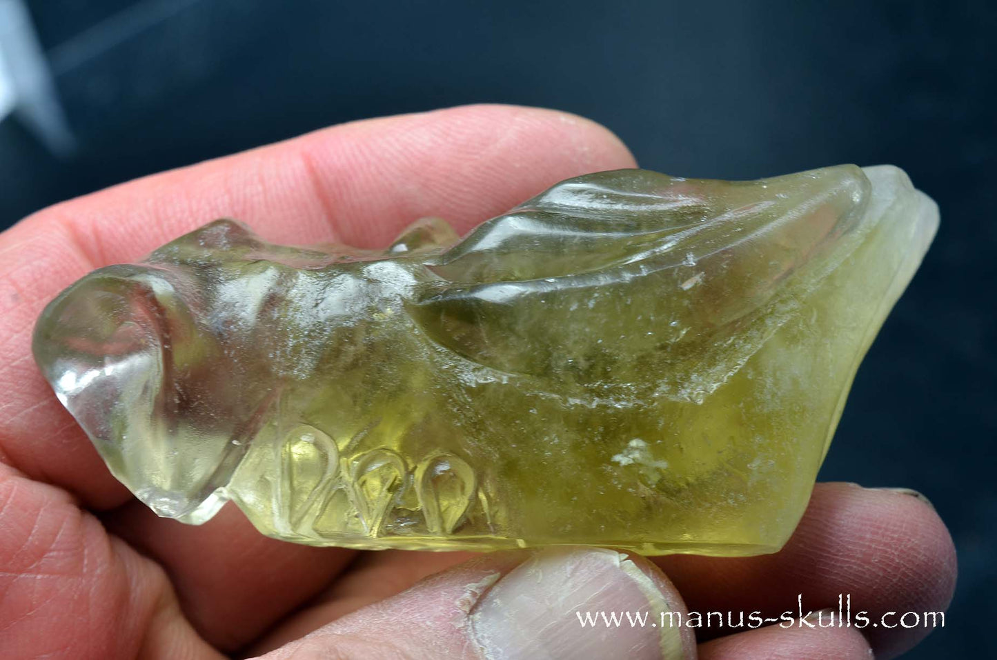 Citrine Dragon