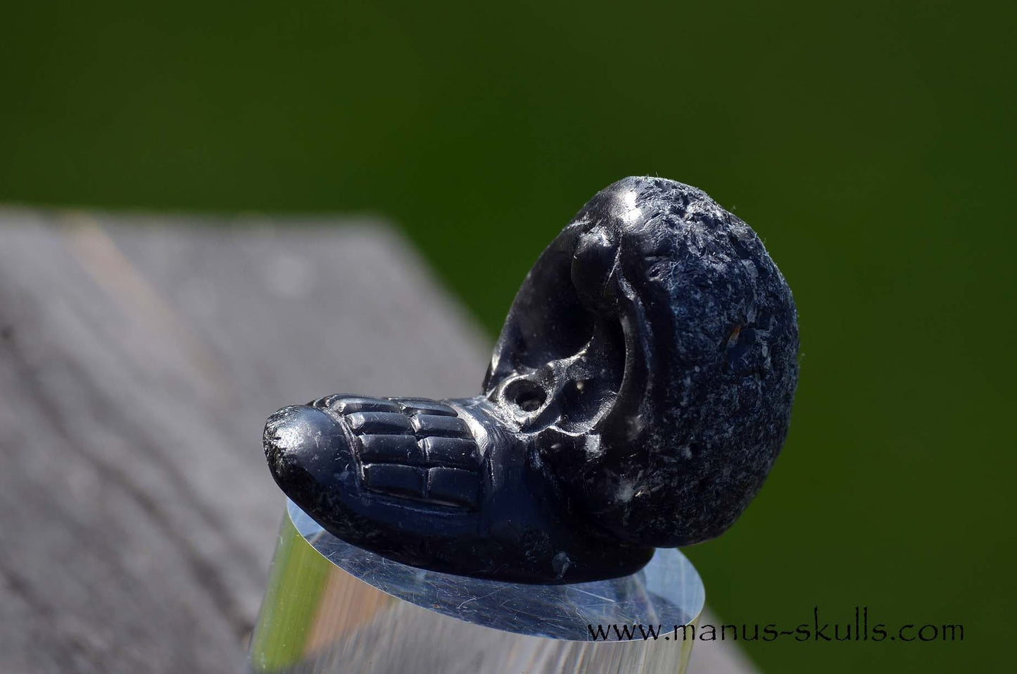 Agni Manitite Evolian #09