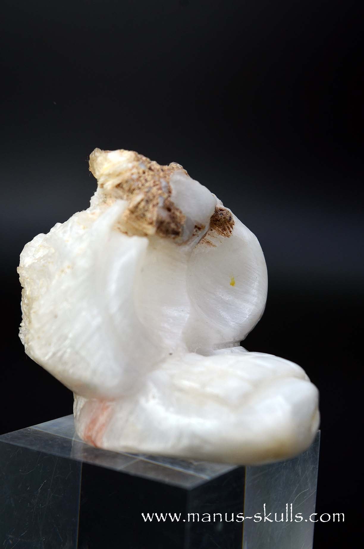 Manus skulls unique Crystal Carvings handmade skulls dragons pendants preseli bluestone tribals spiritual meaning wand Unicorn .. scolecite evolian 2025