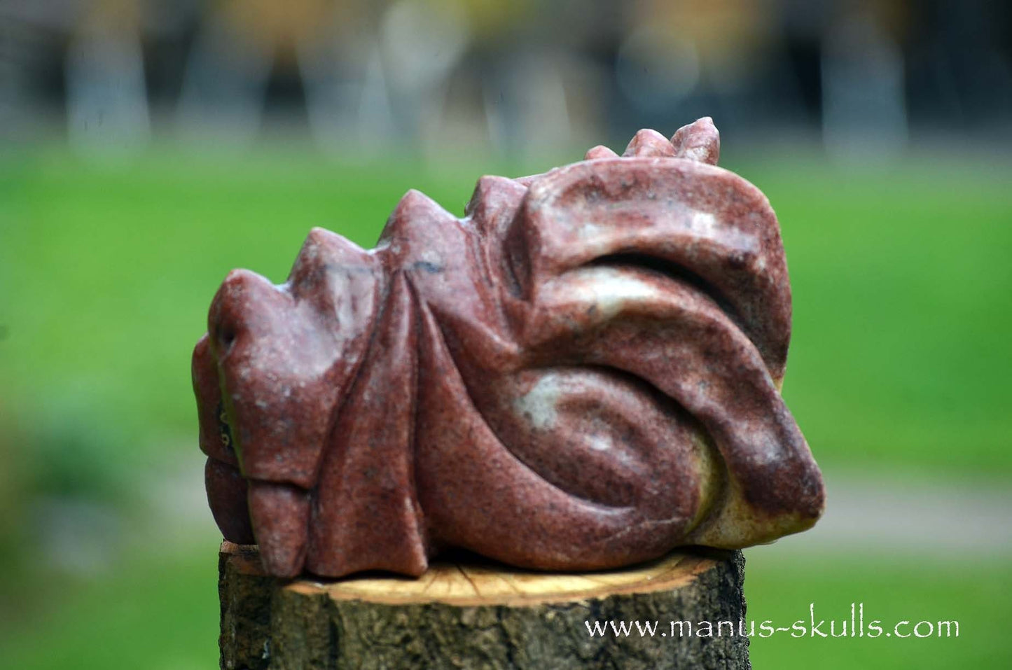 Unique Jasper Dragon with Orgonite tube ...
