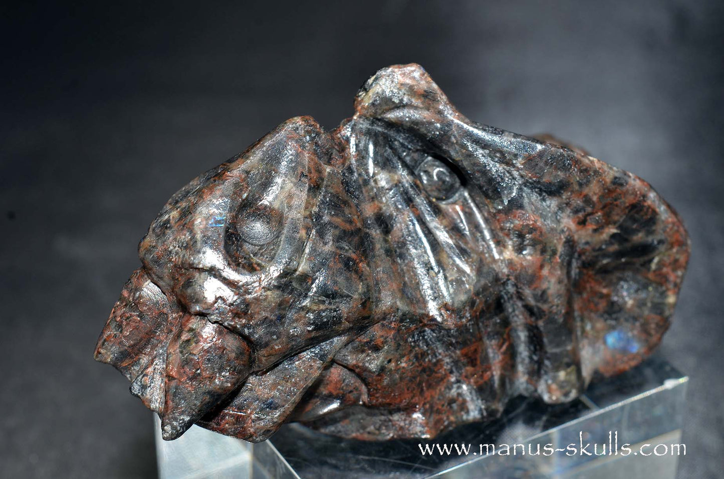 Spectrolite Dragon
