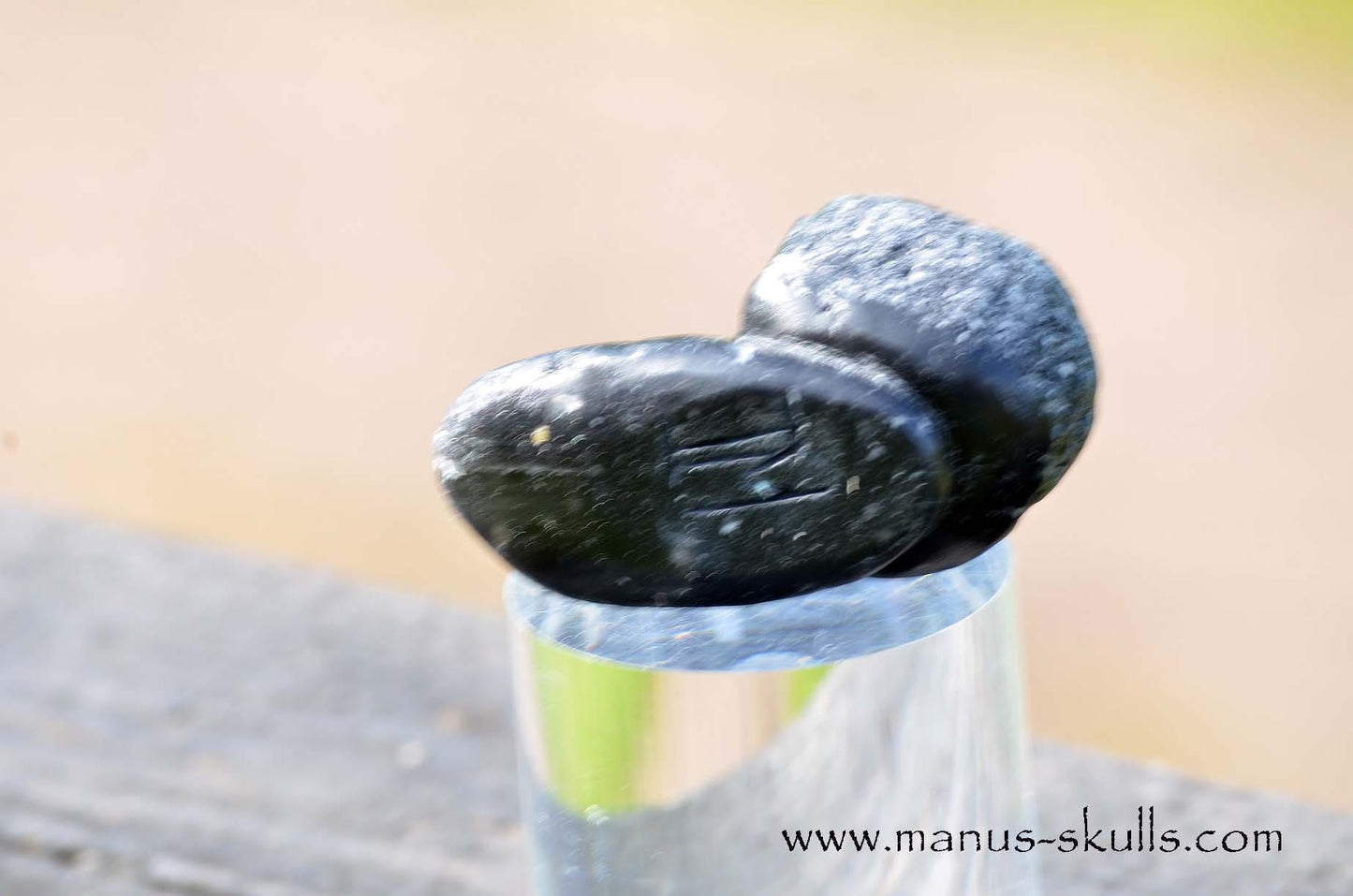 Agni Manitite Evolian #09