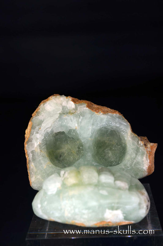 Manus skulls unique Crystal Carvings handmade skulls dragons pendants preseli bluestone tribals spiritual meaning wand Unicorn .. prehnite Evolian 2025