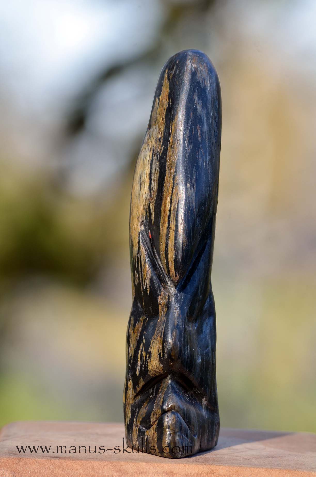 Isua Tribal Skull #019