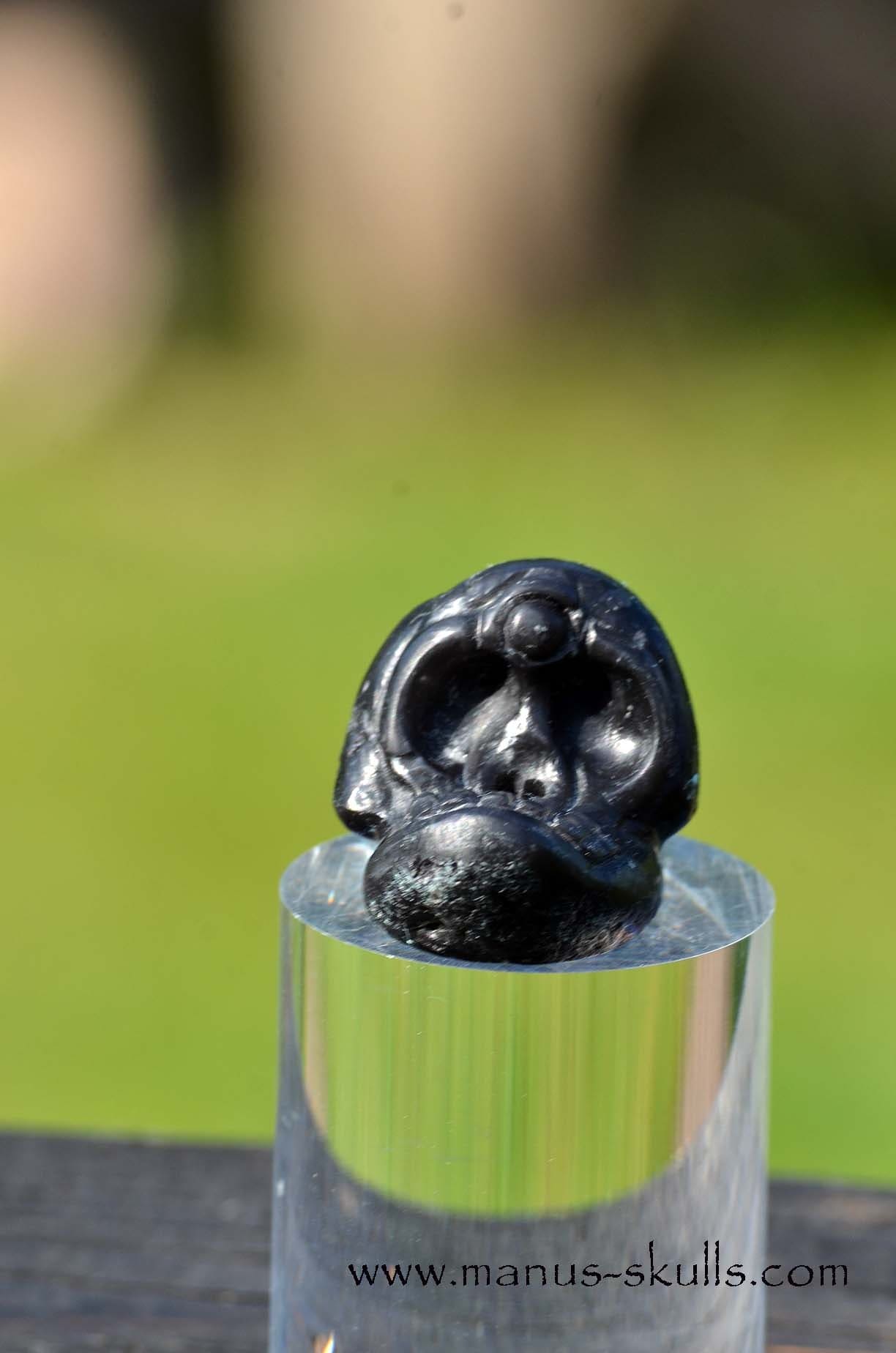 Agni Manitite Evolian Manus Skull