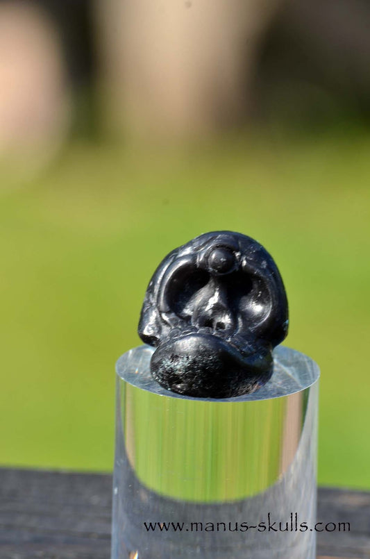 Agni Manitite Evolian Manus Skull