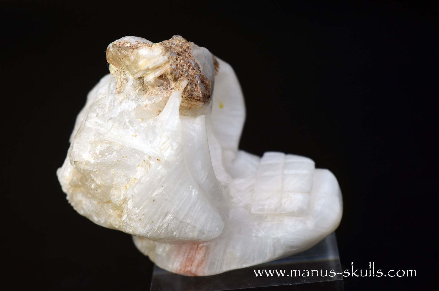 Scolecite Evolian Skull #09