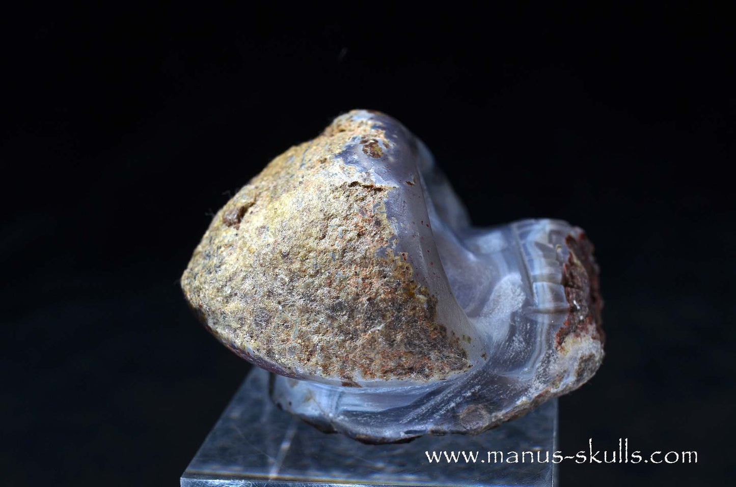 Agate Geode Evolian #10