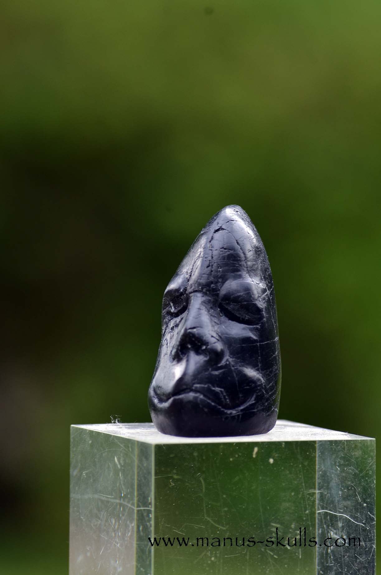 Isua Meditation Skull Face