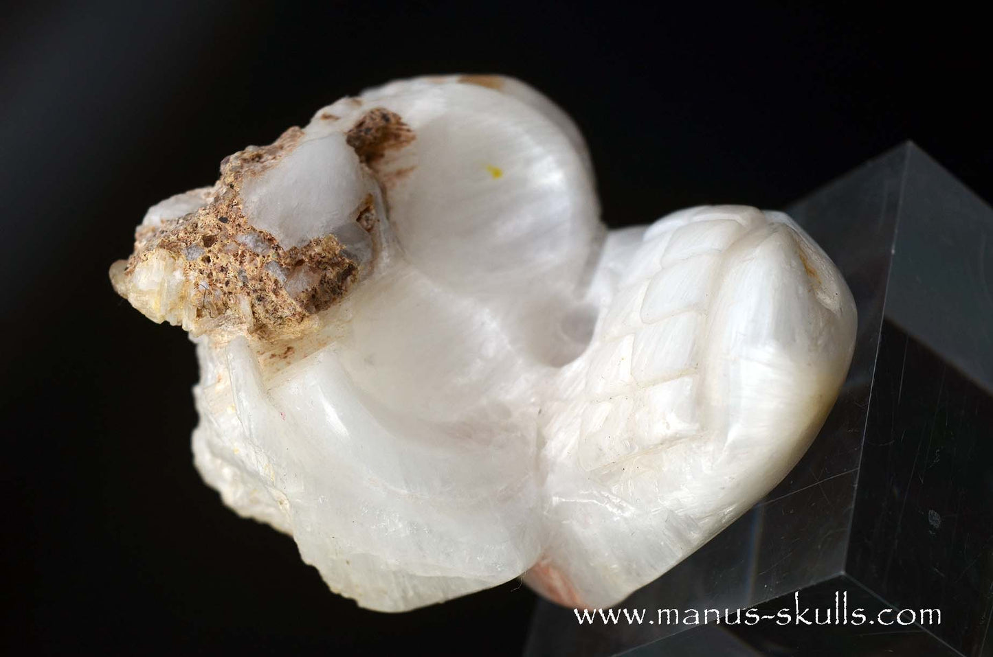 Scolecite Evolian Skull #09