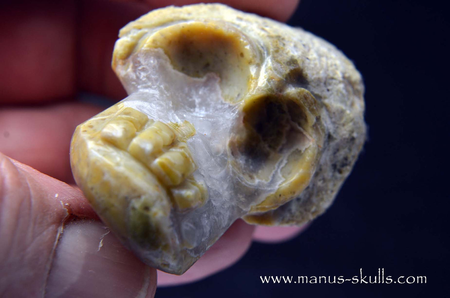 TNT-bed Thunderegg Evolian #08