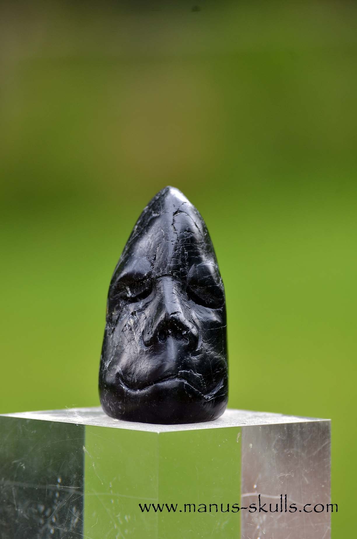 Isua Meditation Skull Face