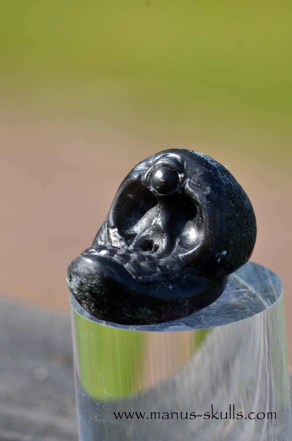 Agni Manitite Evolian Manus Skull