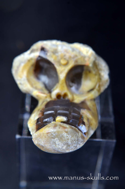 TNT-bed Thunderegg  Evolian #09